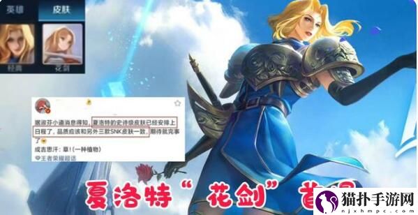 王者荣耀限时点券换什么皮肤最好2