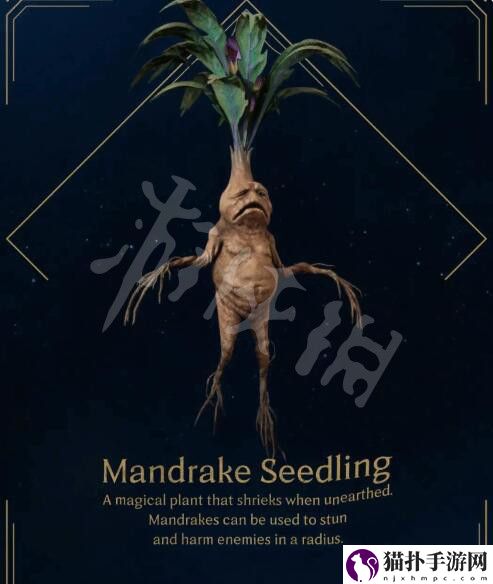 霍格沃茨之遗曼德拉草在哪 曼德拉草获得方法