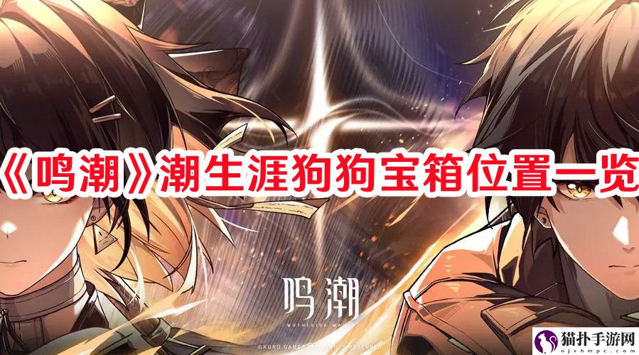 鸣潮潮生涯小狗宝箱怎么开1