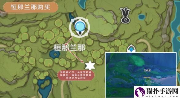 原神树王圣体菇在哪里采摘7