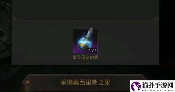 地下城堡3失子疑云任务攻略