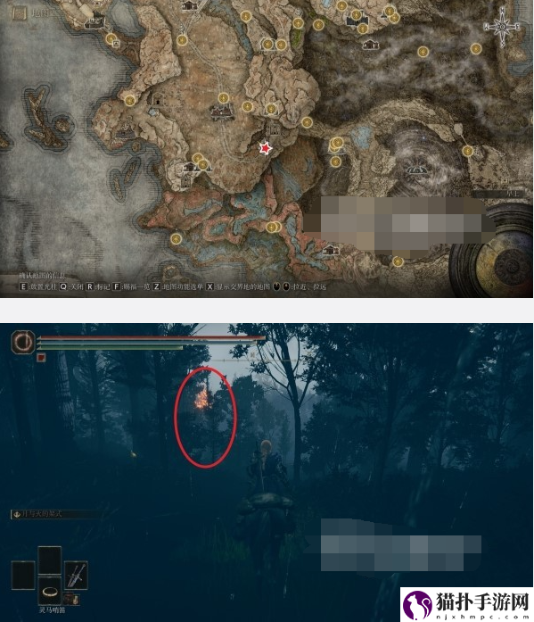 艾尔登法环绿秘密露滴去哪弄2