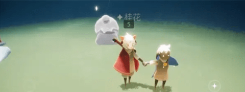 光遇云野先祖位置大全5