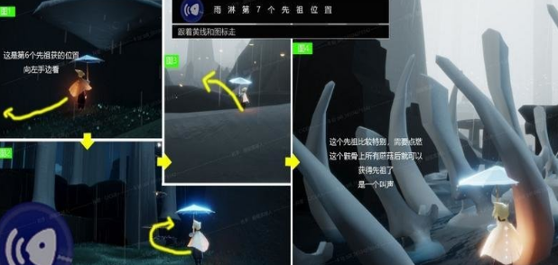 光遇雨林先祖全部位置7