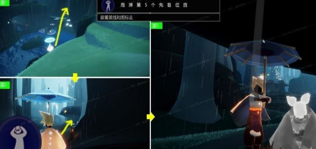 光遇雨林先祖全部位置5