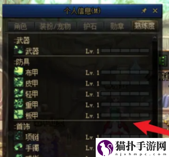 dnf熟练度在哪里看3