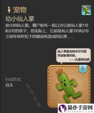 最终幻想14：水晶世界幼小仙人掌宠物获得方法宠物怎么获得