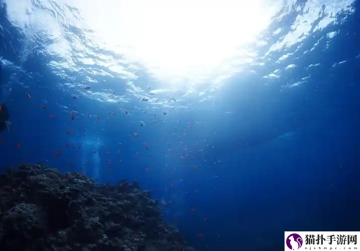 以下哪种海洋环境曾被称为生命的禁区神奇海洋今天答案最新