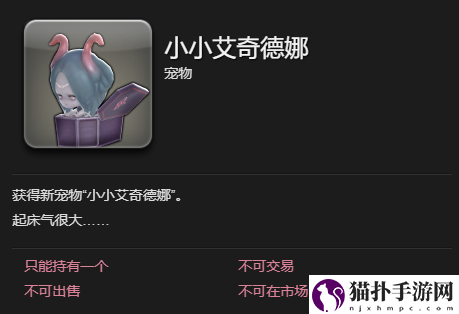 最终幻想14水晶世界小小艾奇德娜宠物获得方法小小艾奇德娜宠物怎么获取