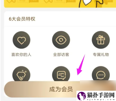 伊对会员开通方法伊对怎么开通会员