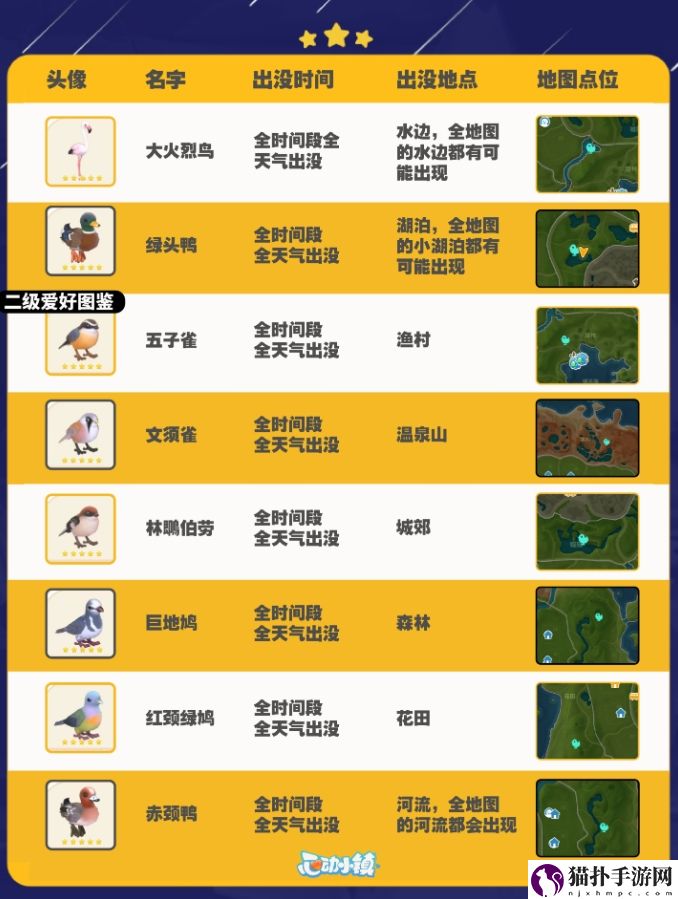 心动小镇观鸟攻略图鉴及拍照技巧详细一览