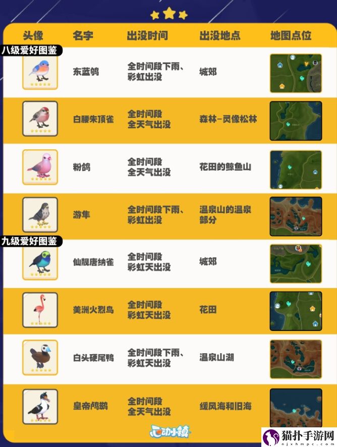 心动小镇观鸟攻略图鉴及拍照技巧详细一览