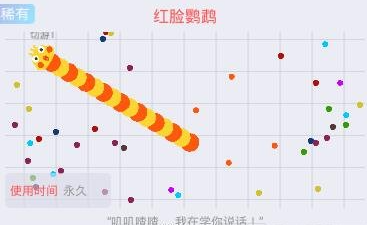 贪吃蛇大作战红脸鹦鹉皮肤图鉴红脸鹦鹉怎么获得呢