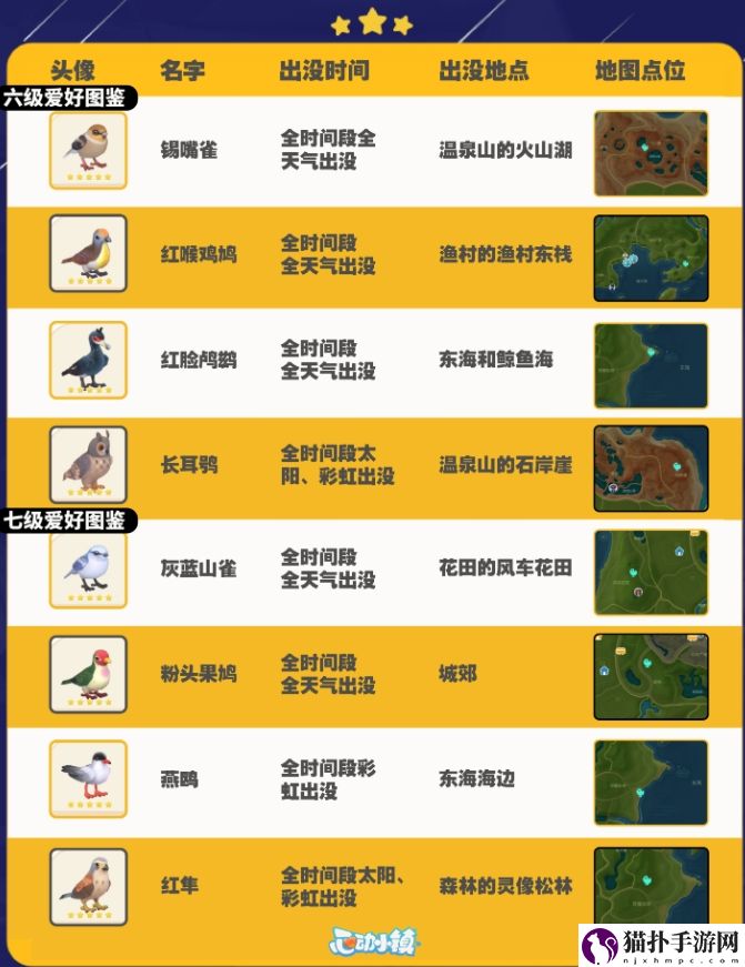 心动小镇观鸟攻略图鉴及拍照技巧详细一览