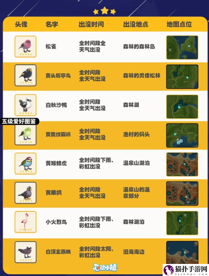 心动小镇观鸟攻略图鉴及拍照技巧详细一览