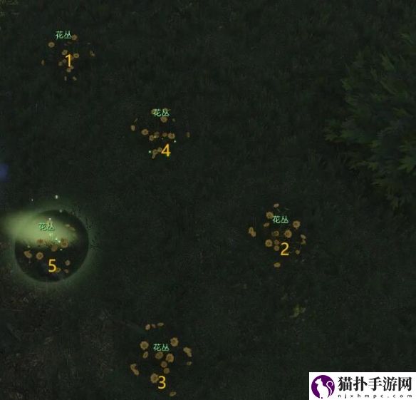 逆水寒长生观花舞流萤宝箱在哪逆水寒长生观花舞流萤宝箱位置