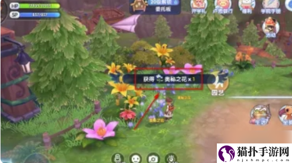 仙境传说新启航奥秘之花在哪仙境传说新启航奥秘之花位置