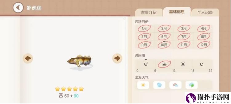 心动小镇虾虎鱼钓鱼时间地点解析