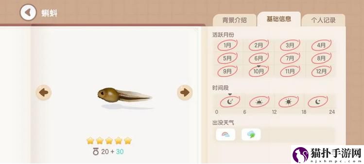 心动小镇蝌蚪钓鱼时间地点详细一览