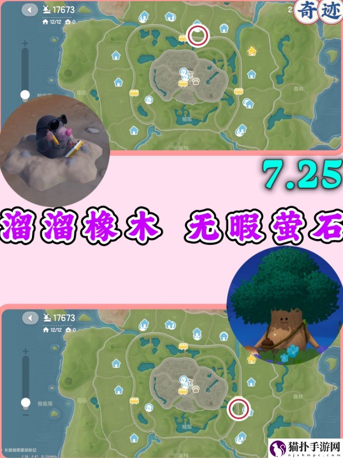 心动小镇7.26橡木萤石刷新点详细一览