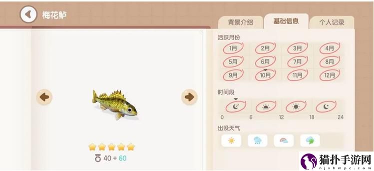 心动小镇梅花鲈钓鱼时间地点解析