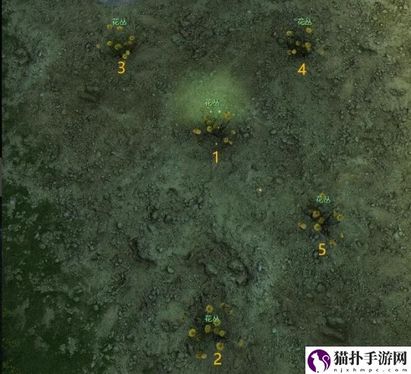 逆水寒长生观花舞流萤宝箱在哪逆水寒长生观花舞流萤宝箱位置