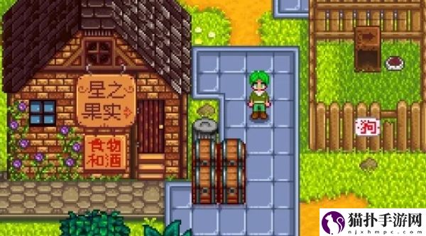星露谷物语芒果树种哪里星露谷物语芒果树种植位置一览