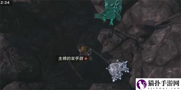 塞尔达传说王国之泪海拉鲁王族的布料获取方法