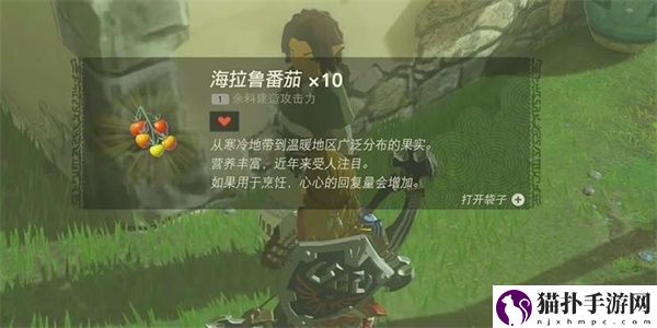 王国之泪科沙尤西的秘密情节挑战攻略