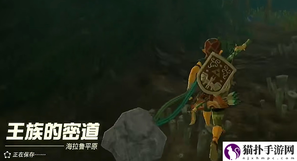 王国之泪海利亚士兵铠甲怎么获得