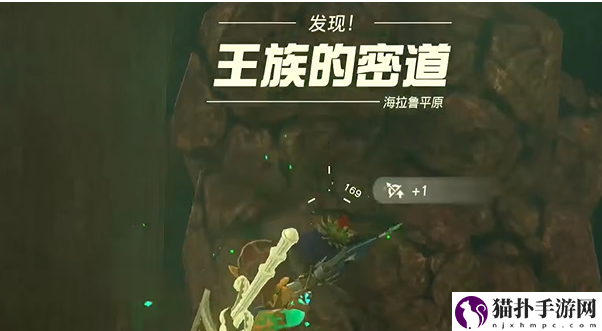王国之泪海利亚士兵护胫怎么获得