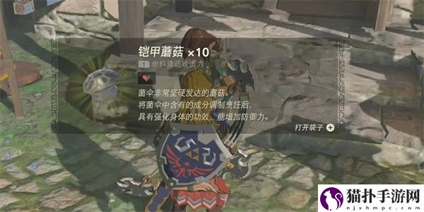 王国之泪萨格诺的秘密情节挑战攻略