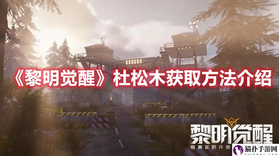 《黎明觉醒》杜松木获取方法介绍