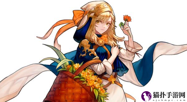 坎公骑冠剑进化需求表