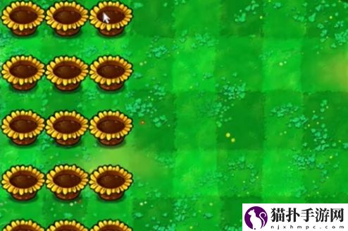 植物大战僵尸杂交版迷你游戏你看他们像柱子一样通关攻略你看他们像柱子一样怎么过