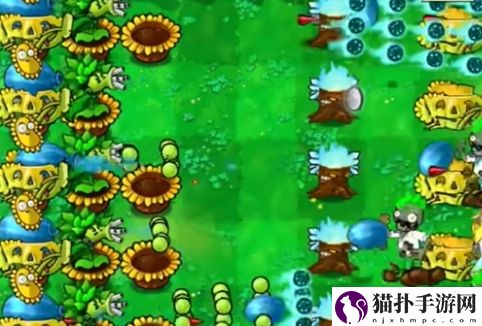 植物大战僵尸杂交版迷你游戏你看他们像柱子一样通关攻略你看他们像柱子一样怎么过