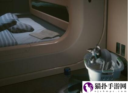 赛博朋克2077猫在哪获得_养猫攻略