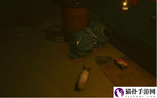 赛博朋克2077猫在哪获得_养猫攻略