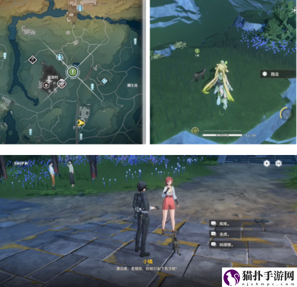 鸣潮救助无名猫咪任务攻略鸣潮救助无名猫咪任务方法
