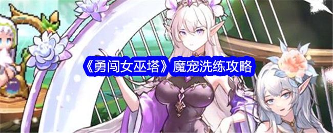 勇闯女巫塔魔宠洗练攻略勇闯女巫塔魔宠怎么洗练