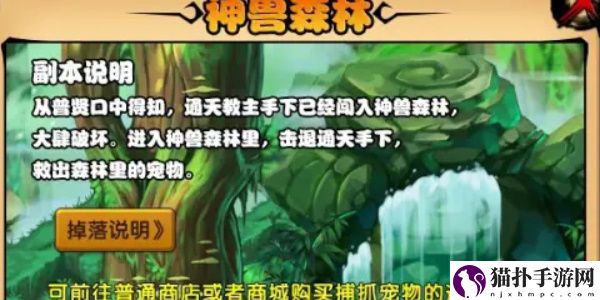造梦西游4抓宠物方法怎么抓宠物