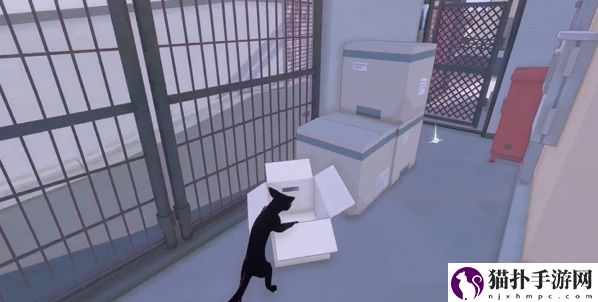 小猫咪大城市五个箱子位置攻略纸箱在哪里呢