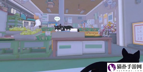 小猫咪大城市五个箱子位置攻略纸箱在哪里呢
