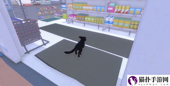 小猫咪大城市4只橡皮鸭位置四个橡皮鸭在哪里呢