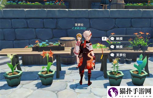 原神塞西莉亚花在哪里可以买 塞西莉亚花购买位置介绍