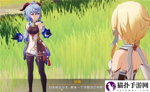 原神王小美是什么梗 甘雨为什么被叫做王小美