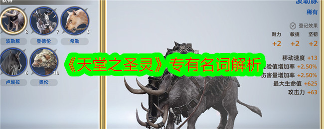 天堂之圣灵专有名词解析天堂之圣灵专有名词攻略
