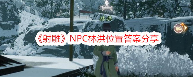 射雕NPC林洪位置答案分享NPC在哪里