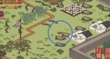 江南百景图应天城郊宝箱位置在哪 江南百景图应天城郊宝箱位置在哪