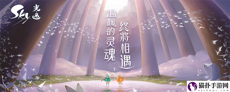 光遇白鸟发型怎么获得